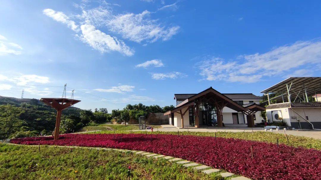 用“零碳”钥匙 打开“绿色大门” 来仁和区首个“零碳村”体验未来低碳生活(图2)