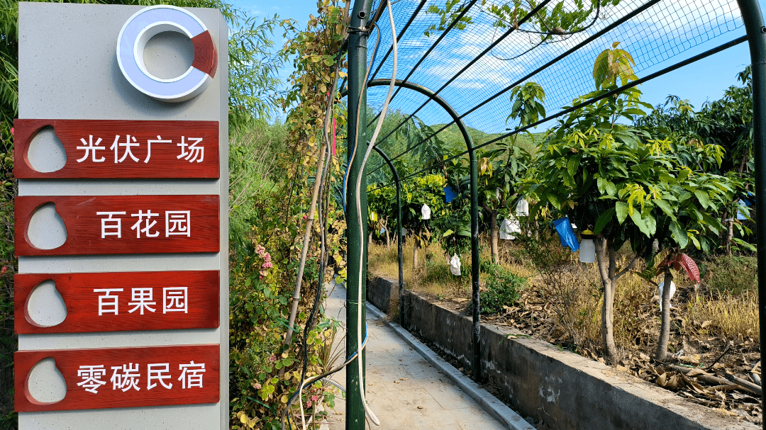 用“零碳”钥匙 打开“绿色大门” 来仁和区首个“零碳村”体验未来低碳生活(图5)
