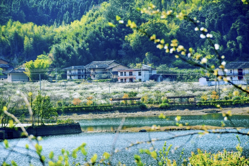 【大宏图·“县”在启航】福建永泰：山水共融撩开面纱绿意浓 古村庄寨蝶变富美引客来(图4)
