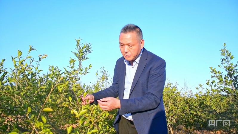 【大宏图·“县”在启航】福建永泰：山水共融撩开面纱绿意浓 古村庄寨蝶变富美引客来(图3)