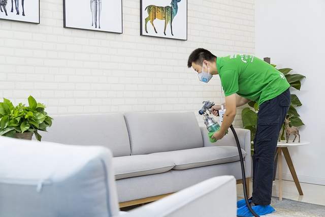 家装安全小知识你知道除甲醛有哪些有效的方法吗？(图1)