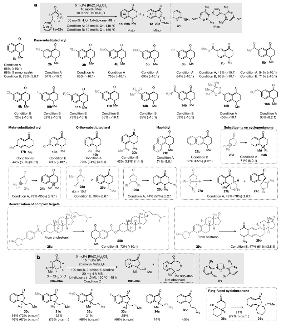 副产物带来的Nature：董广彬、刘鹏团队实现环戊酮碳碳键活化(图3)