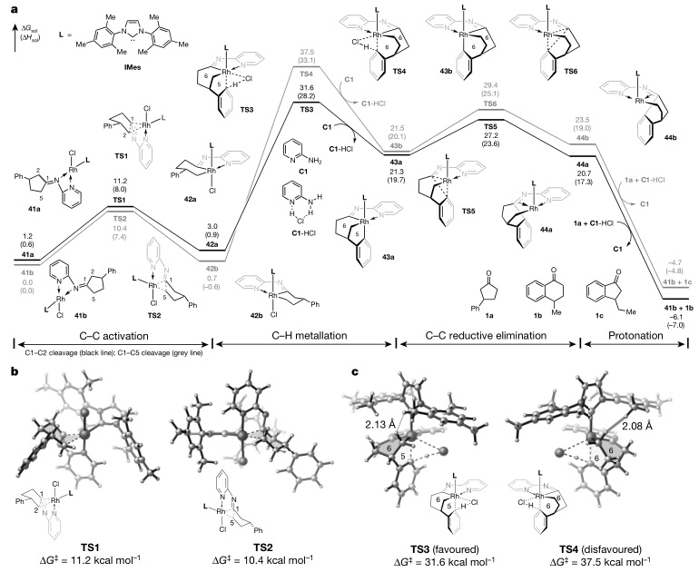 副产物带来的Nature：董广彬、刘鹏团队实现环戊酮碳碳键活化(图5)