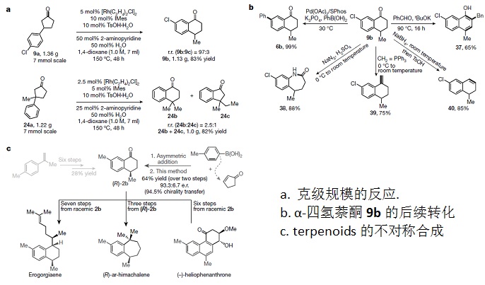 副产物带来的Nature：董广彬、刘鹏团队实现环戊酮碳碳键活化(图4)