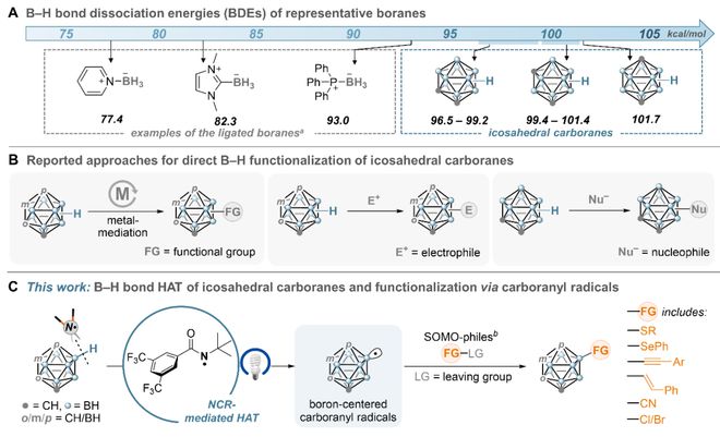 南京大学燕红课题组JACS：氢原子转移（HAT）反应实现无金属条件下碳硼烷B－H键选择性功能化(图1)