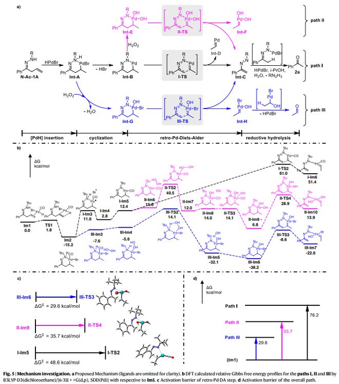 Nat Commun：通过金属杂Retro-Diels-Alder反应进行碳碳键裂解(图4)