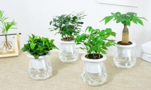 活性炭除甲醛真的靠谱吗？优缺点分析你一看就明白(图2)