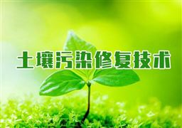 活性炭市场调研报告 2022年活性炭行业发展前景分析(图5)