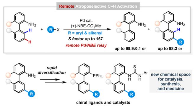 余金权、王鹏Chem：阻转选择性远程间位C-H活化(图1)