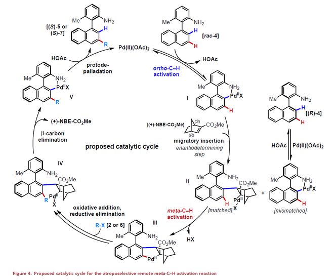 余金权、王鹏Chem：阻转选择性远程间位C-H活化(图3)