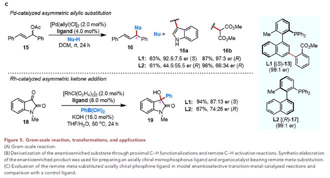 余金权、王鹏Chem：阻转选择性远程间位C-H活化(图5)