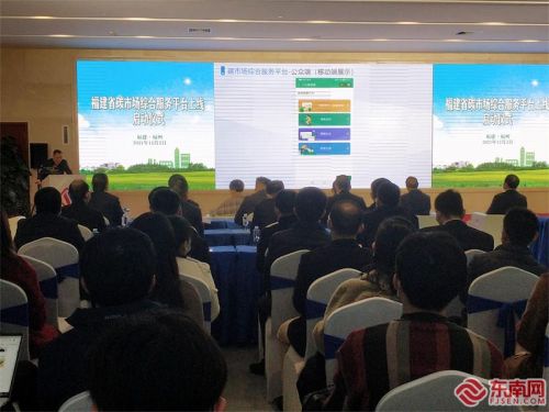 全国首个！福建省级碳市场综合服务平台上线万吨碳配额(图1)