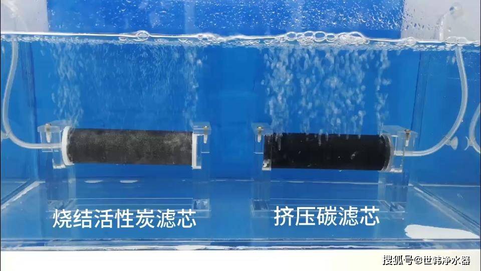 真正的烧结活性炭滤芯是什么样的？(图1)