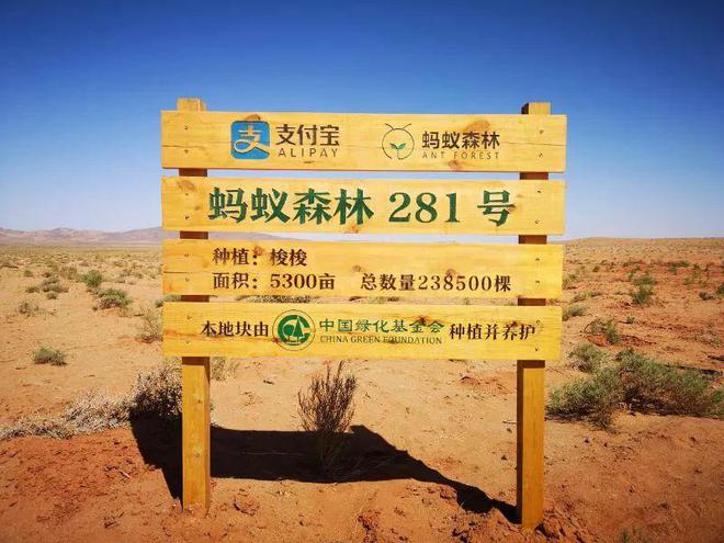 什么是碳循环、碳达峰、碳中和？有了个人碳账户你更愿意低碳生活吗？(图15)