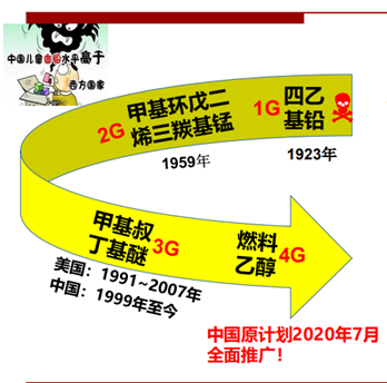 2021前瞻碳中和峰会专家张绪穆：中国南海如何支撑千亿燃料乙醇市场？(图2)