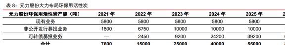 木质活性炭龙头元力股份：炭、硅双轮驱动国产替代前景明确(图23)