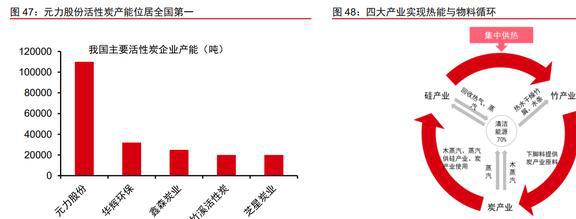 木质活性炭龙头元力股份：炭、硅双轮驱动国产替代前景明确(图41)