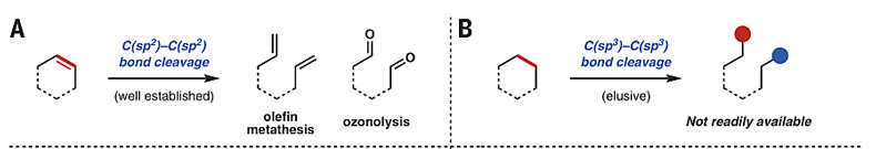 碳-碳键活化新突破！Science报道非张力惰性C(sp3)-C(sp3)键断裂(图1)