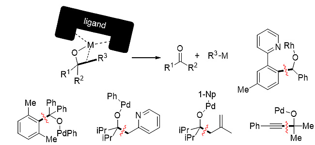 碳-碳键活化新突破！Science报道非张力惰性C(sp3)-C(sp3)键断裂(图4)