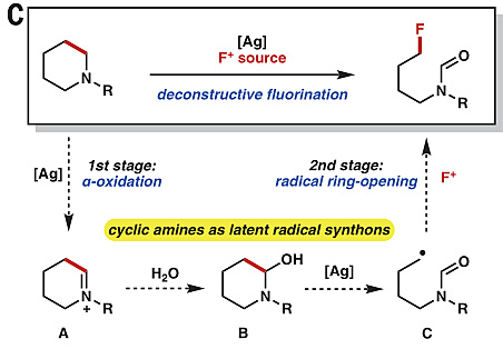 碳-碳键活化新突破！Science报道非张力惰性C(sp3)-C(sp3)键断裂(图6)