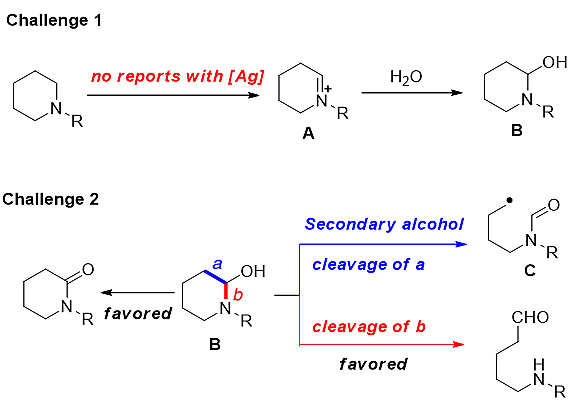 碳-碳键活化新突破！Science报道非张力惰性C(sp3)-C(sp3)键断裂(图7)