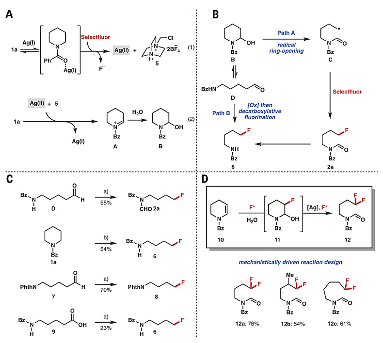 碳-碳键活化新突破！Science报道非张力惰性C(sp3)-C(sp3)键断裂(图11)