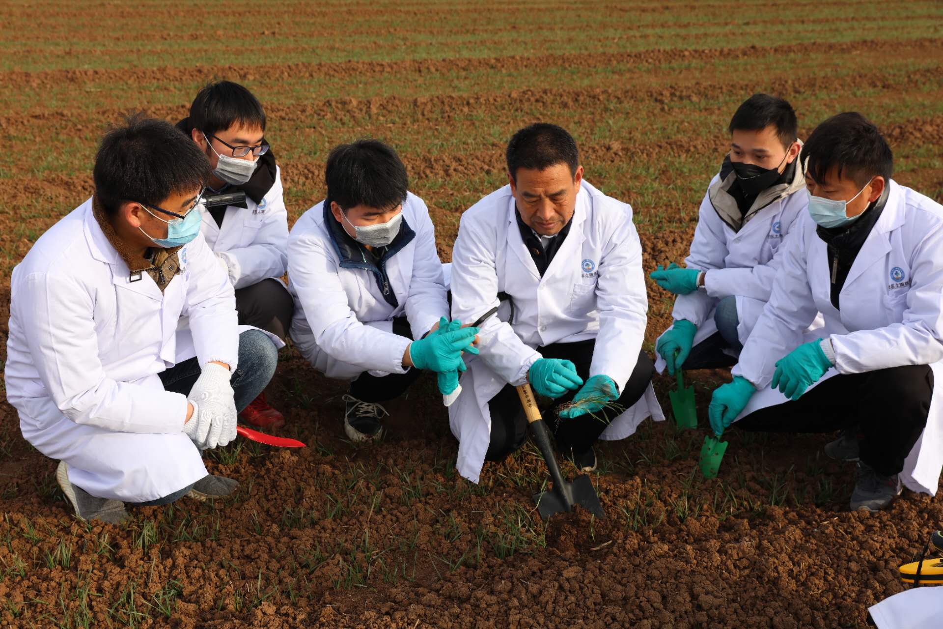 喜讯！“土代表”永富团队研发的可降解生物新材料“炭吸附聚谷氨酸”被列入国家重点推广低碳技术目录(图1)