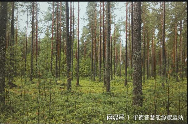碳排放、碳交易碳汇、CCUS、碳知识大全来啦(图2)