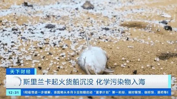 9例！新加坡货船沉海酿史上最严重海难：81柜危险品、321吨燃油沉海大量浮尸惊现大海！(图5)