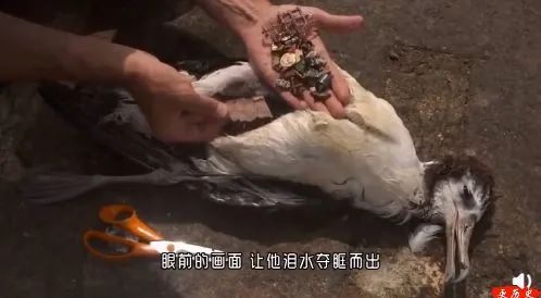 9例！新加坡货船沉海酿史上最严重海难：81柜危险品、321吨燃油沉海大量浮尸惊现大海！(图12)