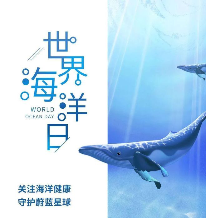 9例！新加坡货船沉海酿史上最严重海难：81柜危险品、321吨燃油沉海大量浮尸惊现大海！(图28)