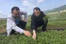 非遗活化有其道(图1)