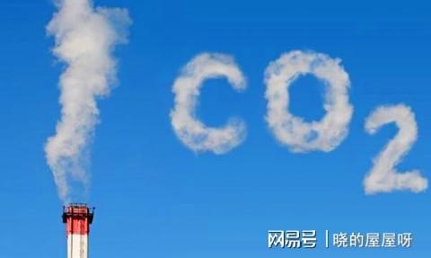 二氧化碳创2300万年来新高新一轮的生物大灭绝会到来吗？(图2)
