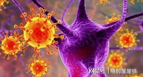 二氧化碳创2300万年来新高新一轮的生物大灭绝会到来吗？(图6)