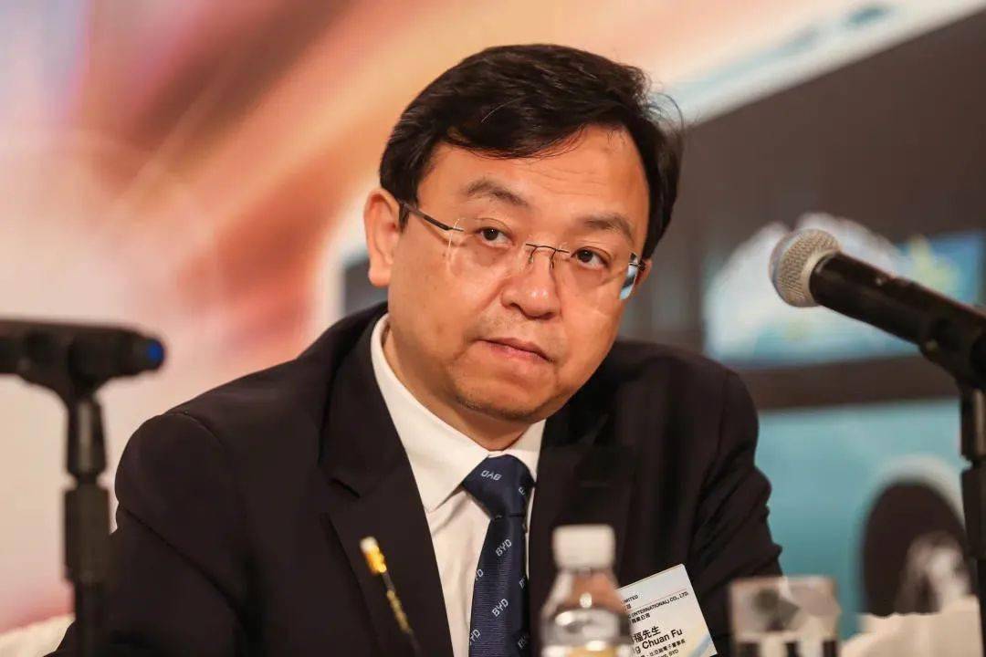 【机器人频道｜封神榜】比亚迪王传福从负债250万到身价350亿凭啥？(图12)