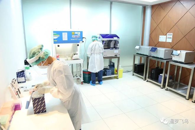 泰国素万那普机场为外国人入境配备Covid-19实验室 90分钟出结果(图1)