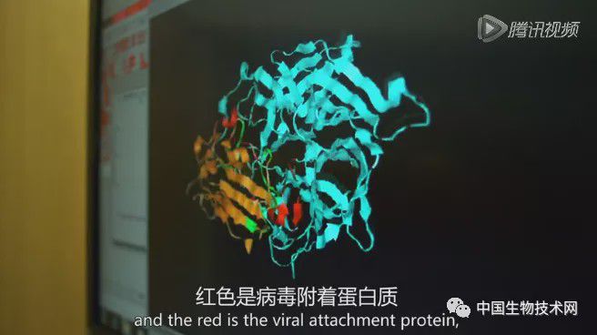 与现实惊人相似！《传染病》幕后的顶尖科学家团队都做了什么？(图6)