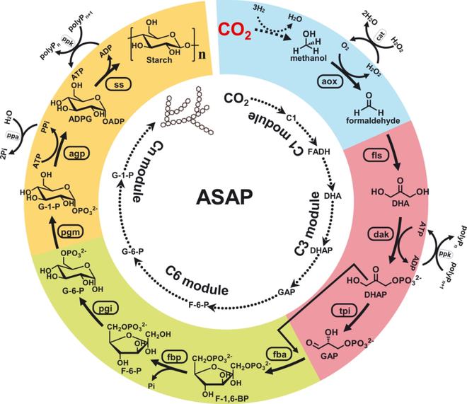 CO2生物利用技术将助力碳中和多种突破性技术商业化前景可期 生辉分析(图6)