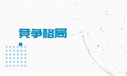 市场竞争格局分析(图16)