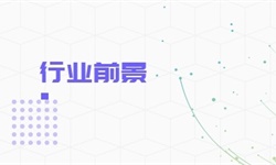 市场竞争格局分析(图20)