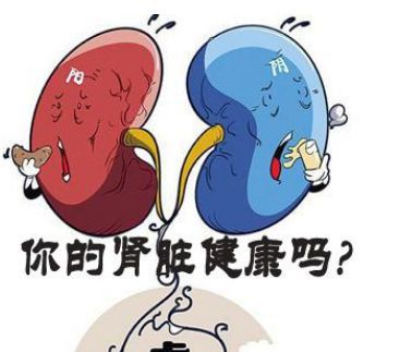 活性炭的作用原来有这么多用途涨知识了(图3)