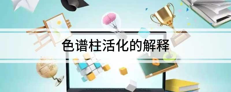 色谱柱活化的解释(图1)