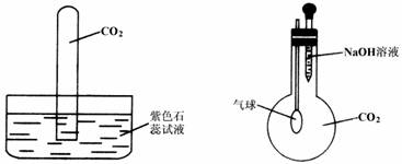 某化学兴趣小组用如图所示的装置做有关(图1)