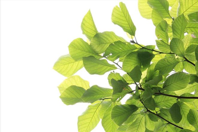 老话说“年景好不好四月看八九”啥意思？八九指哪天？答案来了(图3)