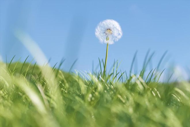 老话说“年景好不好四月看八九”啥意思？八九指哪天？答案来了(图2)