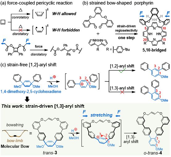 西湖大学刘志常课题组Angew：分子张力工程——分子弓内张力驱动的形式[13]-芳基迁移(图1)