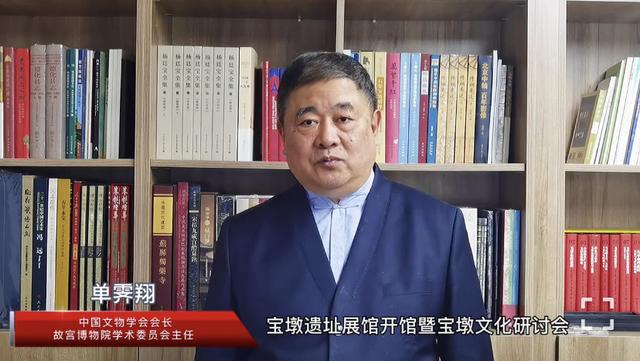 宝墩文化如何活化传承？单霁翔等专家学者支招(图1)