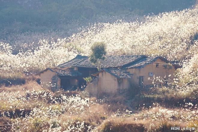 老俗话：“宁可房前出场小不可房前有人田”人田是啥啥讲究(图2)