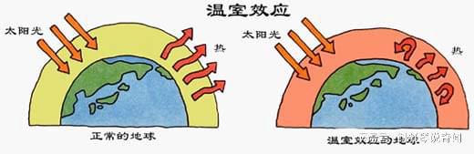 年均排放15亿吨CO亚马逊雨林吸碳赶不上排碳再无地球之肺？(图5)