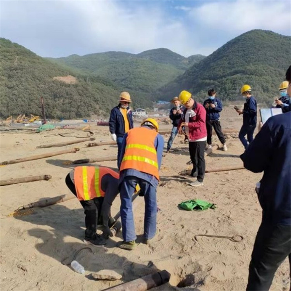 四川中德鼎立二氧化碳爆破活化器多少钱一根(图1)